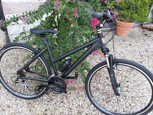 ART. 46 D@TREKKING PERSONALIZZATA 2019/2020