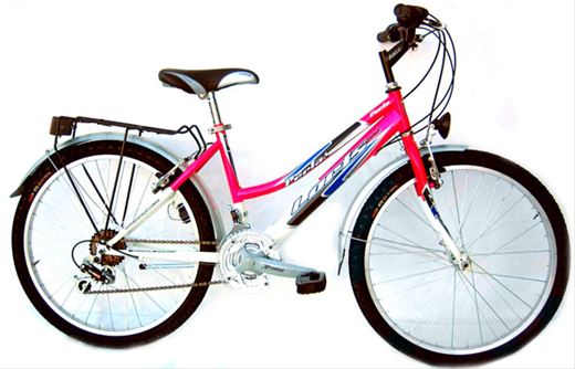 ART. 19/A D@MTB TIGER