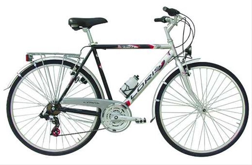 ART. 55/A.E@CITY BIKE FLORIDA