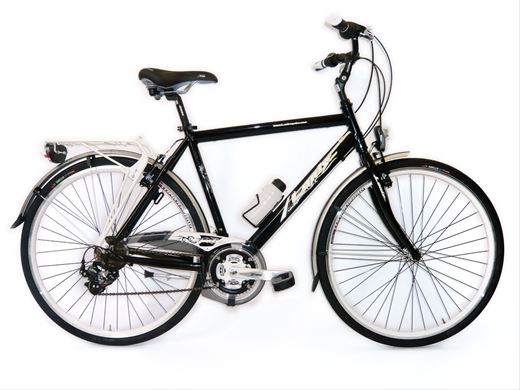 ART. 60/E.E BEAUTY@CITY BIKE FLORIDA BEAUTY