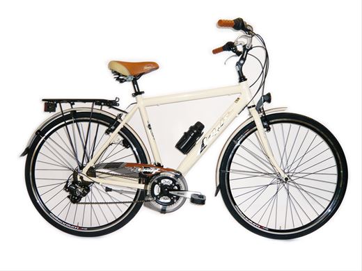 ART. 60/E.E VINTAGE U@CITY BIKE FLORIDA VINTAGE