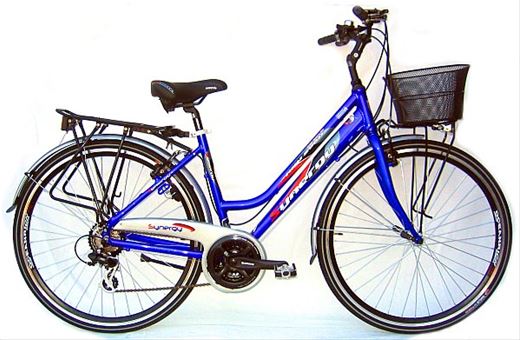 ART. 60/G.A. D@CITY BIKE FLORIDA SYNERGY