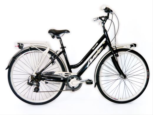 ART. 60/H.E BEAUTY@CITY BIKE FLORIDA BEAUTY