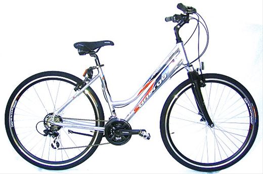 ART. 49 D@TREKKING BIKE SYNERGY