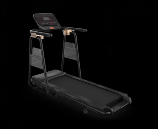 Art. 73/D@Tappeto ELETTRICO CITTA TT5.0